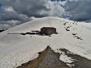 CA' - PASSO SAN MARCO - MONTU' in risveglio primaverile (3magg21) - FOTOGALLERY"